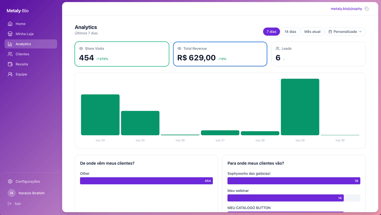 Painel de Analytics do Metaly: visitas, receita e leads.